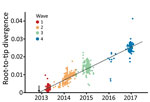 Thumbnail of Regression of root-tip divergence estimated from hemagglutinin gene of influenza A(H7N9) viruses, China. Arrow indicates the time of the most recent common ancestor of the epidemic lineage.