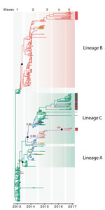 Thumbnail of Genetic evolution and spatial spread of epidemic lineage of influenza A(H7N9) viruses, China, 2013–2017. Bayesian maximum clade credibility tree of the hemagglutinin gene is shown. Black bars to the right of the tree indicate sequences (from waves 4 and 5) from other studies (1,5), and red bars indicate sequences reported in this study from Guangdong Province. Branch colors indicate most probable ancestral locations of each branch. Three major lineages (A, B, and C) of H7N9 viruses 