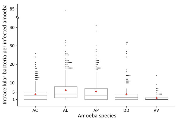 Boxplots of infection intensity across ameba species after experimental infection with Yersinia pestis. Infection intensity frequencies followed a strong negative binomial distribution. Median infection intensities: AC = 3, AL = 4, AP = 3, DD = 2, VV = 1. Red diamonds denote mean infection intensity (Table). Each ameba species had several high-intensity outliers ranging up to a maximum of 84 intracellular bacteria observed in 1 A. lenticulata ameba (note broken y-axis). AC, Acanthamoeba castella