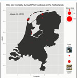 Thumbnail of Animated graphic of the weekly progression of an outbreak of highly pathogenic avian influenza A(H5N8) virus, the Netherlands, November 2016–January 2017 (video forthcoming).