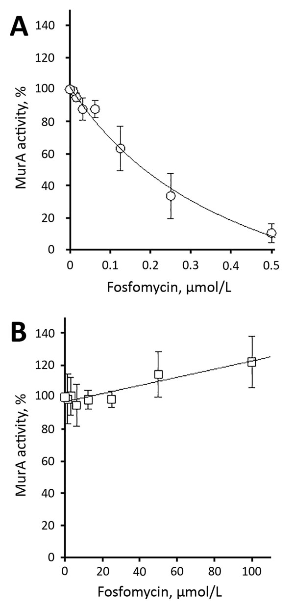 Inhibition of recombinant purified vancomycin-resistant Enterococcus faecium wild-type (A) and C119D (B) MurA by fosfomycin. The 50% inhibitory concentration was 176.8 ± 38.3 nmol/L for wild-type MurA and &gt;100 μmol/L for C119D MurA. Error bars indicate mean ± SD of &gt;3 independent experiments. MurA, UDP-N-acetylglucosamine enolpyruvyl transferase.