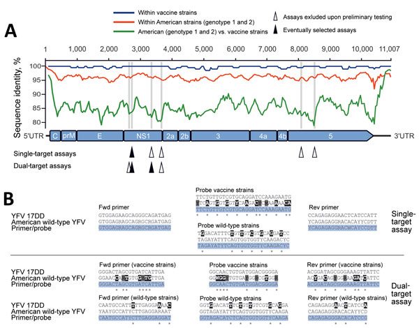 Design of new real-time RT-PCRs for differentiation between vaccine and wild-type YFV. A) YFV genomic representation (GenBank accession no. DQ100292) with real-time RT-PCR target sites, indicated by arrowheads, and identity plot of all complete YFV sequences available in GenBank as of May 24, 2017. Plots were done in SSE version 1.2 (11) using a sliding window of 200 and a step size of 40 nt. Target sites of the eventually selected assays are indicated by filled arrowheads; all other designed as
