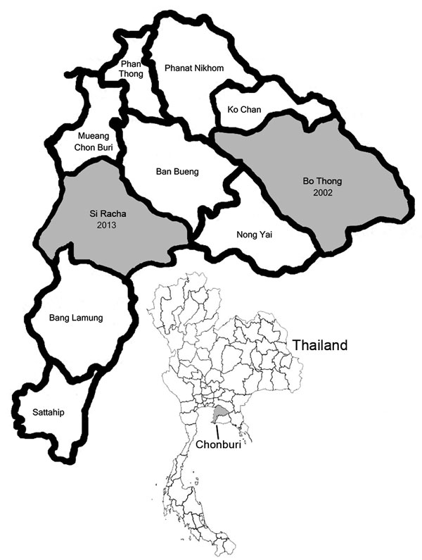 Chonburi Province, Thailand, showing scrub typhus outbreak areas in in Bo Thong district in 2002 and Si Racha district in 2013 (gray shading). Inset shows location of Chonburi Province in Thailand.