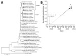 Thumbnail of VP1 sequence analysis of cVDPV2 isolated from case-patients (n = 6) and contacts (n = 7) in Guinea, 2014–2015. A) Phylogenetic tree inferred with the complete VP1 region nucleotide sequences (903 bp). Our data were compared with a representative global set of 23 isolates representing type 2 VDPV strains from immunodeficient persons, Sabin-2 strain, cVDPV2s, and wild-type polioviruses identified by GenBank search. The Sabin-3 poliovirus sequence was introduced as an outgroup. The nei