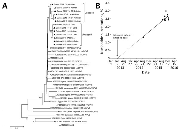 VP1 sequence analysis of cVDPV2 isolated from case-patients (n = 6) and contacts (n = 7) in Guinea, 2014–2015. A) Phylogenetic tree inferred with the complete VP1 region nucleotide sequences (903 bp). Our data were compared with a representative global set of 23 isolates representing type 2 VDPV strains from immunodeficient persons, Sabin-2 strain, cVDPV2s, and wild-type polioviruses identified by GenBank search. The Sabin-3 poliovirus sequence was introduced as an outgroup. The neighbor-joining
