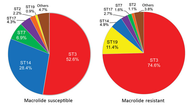 Multilocus sequence typing results for 232 macrolide-susceptible and 185 macrolide-resistant Mycoplasma pneumoniae isolates, Japan, 2002–2016. Ten STs were identified for macrolide-susceptible and 12 STs for macrolide-resistant M. pneumoniae. ST, sequence type.