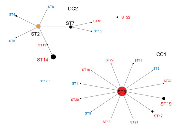 Relationship between CC and ST for Mycoplasma pneumoniae isolates by eBURST version 3.1 analysis (http://eburst.mlst.net/v3/mlst_datasets/). Data included 417 strains from Japan, 2002–2016, and 62 strains isolated from the United Kingdom, the United States, China, and France. For all isolates, 24 STs were identified. The size of each circle is proportional to the number of isolates for each ST. Red indicates isolates detected in Japan only; blue indicates isolates detected in the United Kingdom,