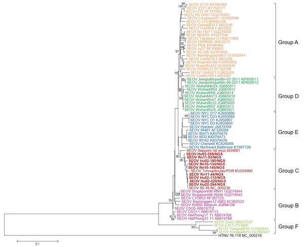 Phylogenetic analysis of SEOV small RNA segments, South Korea, 2000–2016, and reference strains. A phylogenetic tree was generated by using the maximum-likelihood method with the T92 + gamma distribution model of evolution and alignment of small RNA segment sequences (nt 193–1332) of SEOV strains. Colored groups indicate the areas where SEOV strains were identified: group A, northeastern and southeastern China and North Korea; group B, Europe (France and Belgium) and Southeast Asia (Vietnam and 