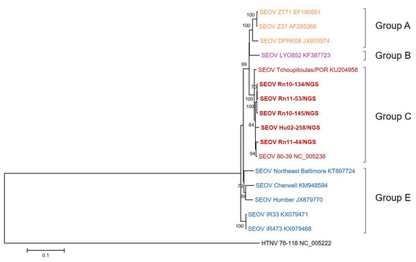 Phylogenetic analysis of SEOV large RNA segments, South Korea, 2000–2016, and reference strains. A phylogenetic tree was generated by using the maximum-likelihood method with the TN93 + gamma + invariant model of evolution and alignment of large segment sequences (nt 1–6510) of SEOV strains. Colored groups indicate the areas where SEOV strains were identified: group A, southeastern China and North Korea; group B, Europe (France); group C, South Korea and the United States; group E, United Kingdo