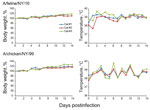 Thumbnail of Body weight and temperature changes in cats infected with A/feline/NY/16 and A/chicken/NY/99 viruses. Three cats per group were infected intranasally with 106 PFU of viruses and monitored for bodyweight and temperature changes. 