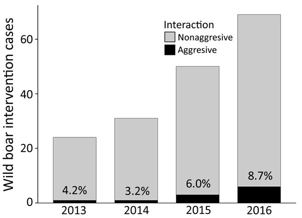 Occurrence and temporal trend of veterinary interventions related to wild boar removal in Barcelona, Spain, 2013–2016, and percentage of interventions with aggressive interactions. Aggressive interaction involves both violent physical contacts (charging or pushing for food) and aggressions to humans (bites).