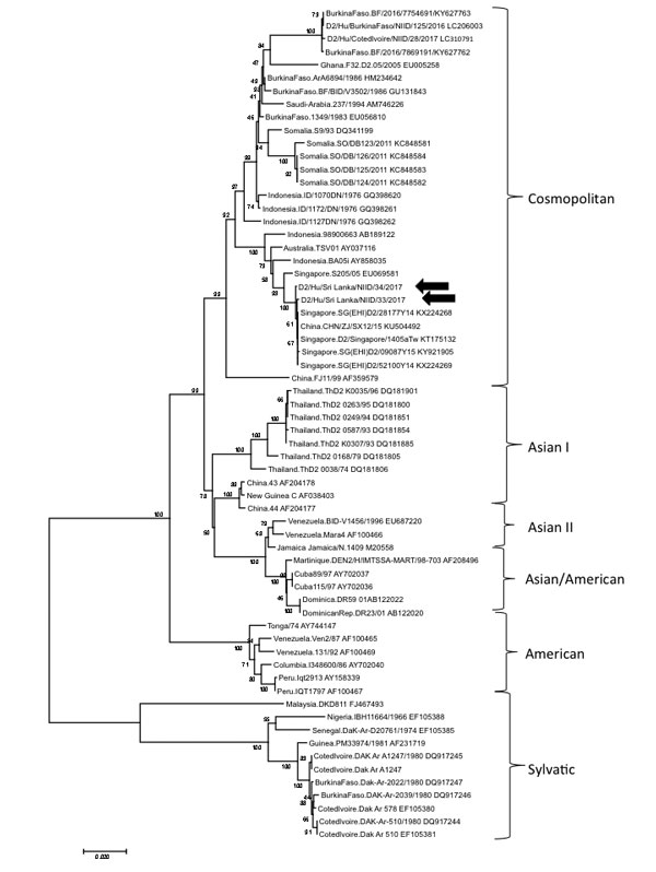 Phylogenetic analysis of dengue virus type 2 strains obtained from 2 patients who returned to Japan from Sri Lanka in June 2017 (arrows) and a comparison with reference sequences from GenBank. Virus lineages are shown at right. Phylogenetic tree was constructed by using the neighbor-joining method. The maximum composite likelihood method was used, and the rates among sites were uniform. These analyses were performed using MEGA7 (http://www.megasoftware.net). Scale bar indicates nucleotide substi