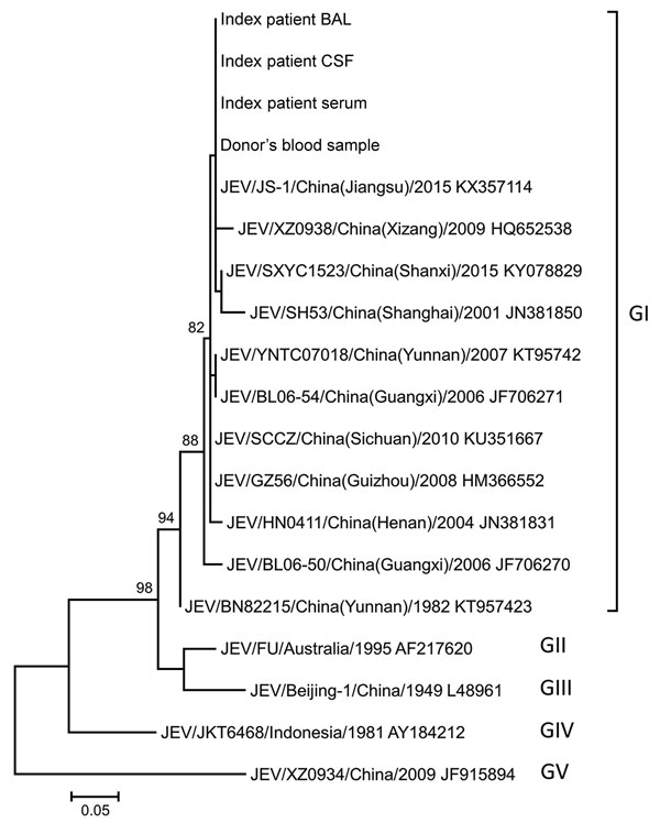 Phylogenetic tree constructed by using partial nonstructural protein 5 (NS5) sequences of JEV isolates detected in index patient and donor blood samples, Hong Kong, China, and other JEV reference strains available in GenBank (accession numbers shown). The tree was inferred from data by using the maximum-likelihood method with bootstrap values calculated from 1,000 trees. Only bootstrap values &gt;70% are shown. A 167-nt fragment of NS5 from each virus was used in this analysis. Labels at right i