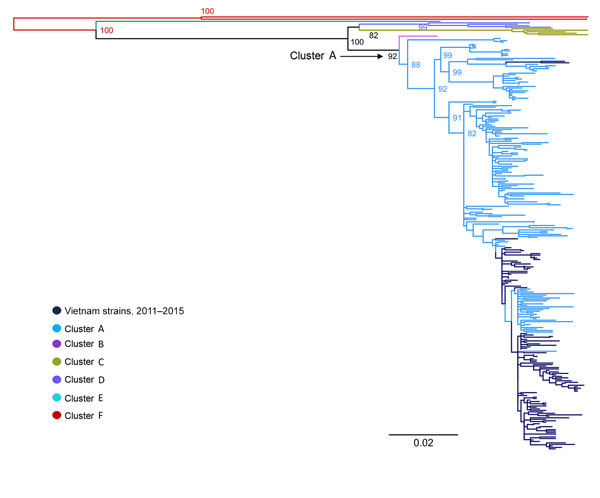 Maximum-likelihood tree of viral capsid protein 1 sequences of coxsackievirus A6 strains from Vietnam and worldwide. Branches are colored by cluster; cluster A, which includes the Vietnam strains, is indicated. Scale bar indicates nucleotide substitutions per site.