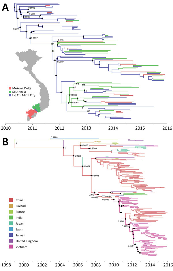 Maximum clade credibility trees illustrating the phylogeography of coxsackievirus A6. A) Complete coding sequence–based tree of Vietnam strains; B) viral capsid protein 1–based tree of global strains. Branches are color-coded according to location of sampling. Posterior probabilities &gt;85% and state probabilities &gt;75% (black circles) are indicated at all nodes. Map in panel A obtained from https://mapchart.net.