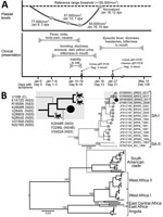 Thumbnail of Clinical progression and detection of YFV in urine and semen of convalescent patient, Brazil. A) Platelet levels, clinical parameters and symptoms, and test results over a 128-day period after initial symptoms were observed. B) Maximum-likelihood tree (midpoint-rooted) inferred by using complete genomes of YFV to distinguish major virus genotypes; dashed box indicates South American clade strains, enlarged at top. Numbers near nodes indicate percent bootstrap values after 10,000 rep