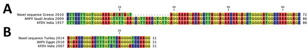 Nucleotide alignments of novel AHFV sequences obtained from Hyalomma marginatum sensu lato ticks (likely H. rufipes) with reference AHFV and KFDV sequences. A) Partial alignment of 5′ untranslated region of AHFV obtained from tick collected from bird in Andikíthira, Greece, 2010, with corresponding reference sequences of AHFV (GenBank accession no. JF416957) and KFDV (GenBank accession no. HM055369). B) Partial alignment of premembrane sequence of AHFV obtained from tick collected from bird in T