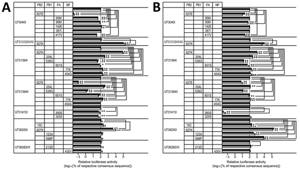 Effect of amino acid variations in polymerases and NP on viral polymerase activity in influenza A(H5N1) virus isolates from humans, northern Vietnam, 2004–2010. 293T cells were transfected with plasmids encoding the viral replication complex (PB2, PB1, PA, and NP), with a plasmid for the expression of an influenza virus mini-genome that encodes the firefly luciferase gene, and with a plasmid encoding Renilla luciferase (transfection control). If 2 or 3 isolate numbers are listed, we tested the m