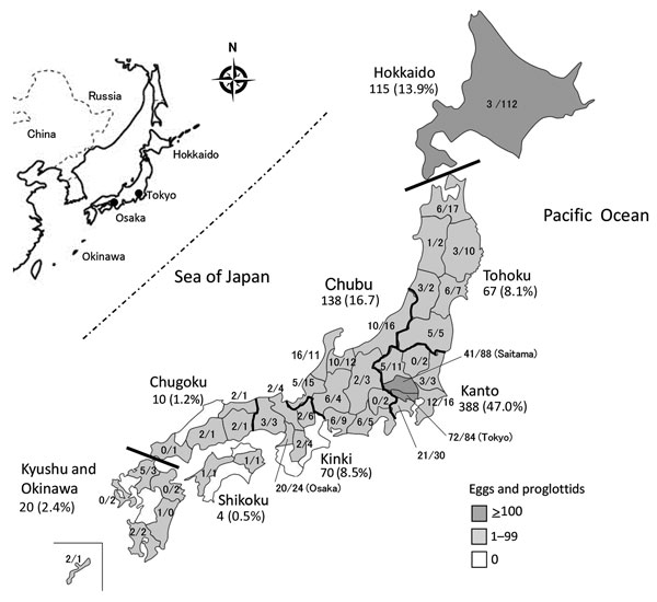 Geographic distribution of patients infected with Diphyllobothrium nihonkaiense tapeworm, by administrative region, Japan, 2001–2016. Thick lines indicate divisions between the 8 regions of Japan (Hokkaido, Tohoku, Kanto, Chubu, Kinki, Chugoku, Shikoku, and Kyushu and Okinawa). The total numbers of egg and proglottid samples and percentage of D. nihonkaiense infections are given per region. The percentages do not add up to 100% because of rounding. The numbers of egg/proglottid samples are given