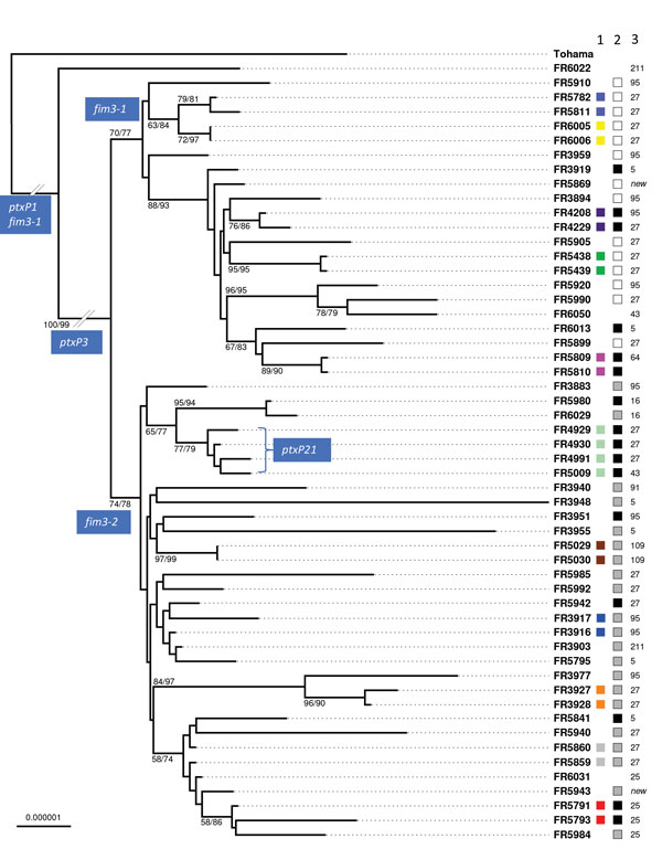 Maximum-likelihood phylogenetic tree for Bordetella pertussis isolates based on the concatenated multiple sequence alignments of 2,038 core genome multilocus sequence typing loci. The tree was rooted on the Tohama reference isolate (GenBank accession no. NC_002929). Only branch support values &gt;50 are labeled (bootstrap/aLRT-SH). Column 1 to the right of the isolates’ names shows colors indicating the intrafamilial groups or groups of multiple isolates from single patients (corresponding to co