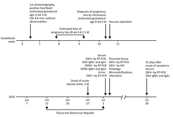 Clinical timeline for a 22-year-old pregnant woman who had suspected Zika virus infection. The woman was in the seventh week of gestation when she traveled from Spain to the Dominican Republic. CRL, crown–rump length; DENV, dengue virus; Ig, immunoglobulin; IHC, immunohistochemistry; ZIKV, Zika virus; RT-PCR, reverse transcription PCR; +, positive; –, negative.