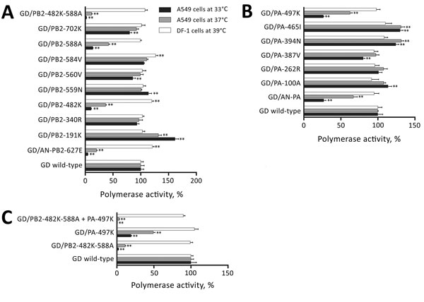 Viral polymerase activity of wild-type, PB2 mutant, and PA mutant polymerase complexes. A) Viral polymerase activities of highly pathogenic influenza A(H7N9) virus GD replication complexes harboring amino acid substitutions in PB2 (A), PA (B), or PB2 and PA (C) in human A549 and chicken DF-1 cells. The data shown are relative polymerase activities ± SD (n = 3). The polymerase activity of GD wild-type was set to 100%. **p&lt;0.01, according to a 1-way analysis of variance followed by a Dunnett te