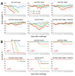 Thumbnail of Virulence of wild-type and mutant highly pathogenic influenza A(H7N9) virus GD viruses in mice. Five mice per group were intranasally inoculated with 102, 103, 104, or 105 PFU (each in 50 μL) of the indicated viruses. Body weight (A) and survival (B) were monitored daily for 14 days. A) The values represent the average body weight ± SD compared with the baseline weight from 5 mice. Two-way analysis of variance followed by a Dunnett test revealed that the body weight loss of mice inf