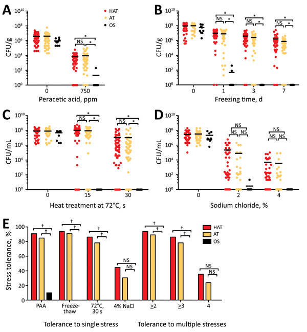 Tolerance to multiple stresses in 121 clinical strains of Camplyobacter jejuni. A) Resistance of C. jejuni to disinfectant (PAA) on chicken. B) Freeze-thaw tolerance of human clinical strains of C. jejuni on chicken. C) Tolerance to heat treatment of clinical C. jejuni strains in milk. D) Osmotolerance of clinical strains of C. jejuni. E) Percentage of stress-tolerant strains in each aerotolerance group: HAT (n = 65), AT (n = 46), and OS (n = 10). Results are representative of 3 independent expe