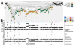 Thumbnail of Maximum-likelihood phylogeny of whole-genome single-nucleotide polymorphisms (SNPs) of 153 Salmonella enterica 4,[5],12:i:- sequence type (ST) 34 isolates and acquired drug-resistance genes. A) SNP analysis was conducted by performing whole-genome alignment of ST34 isolates from New South Wales (NSW), Australia, and a selection of published ST34 isolates collected in the United Kingdom, United States, and Denmark by using Snippy Core (https://github.com/tseemann/snippy) (Technical A