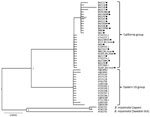 Thumbnail of Phylogenetic tree of Borrelia miyamotoi intergenic spacer (rrs-rrlA) sequences isolated from wild-caught rodents and ticks (black dots) from California, USA, in study of Borrelia spp. in small mammal species in the San Francisco Bay area, compared with reference samples from California, the eastern United States, Japan, and Sweden. Isolates are identified by isolate identification number or GenBank accession number. Scale bar indicates nucleotide substitutions per site.
