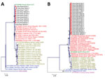 Thumbnail of Phylogenetic tree of chikungunya viruses collected from patients in Pakistan, December 20, 2016–May 31, 2017 (red squares), and reference viruses. The tree was generated by the maximum-likelihood method based on the nucleotide sequence of the partial envelope 1 (A) and nonstructural protein 1 (B) genes. Red text indicates East/Central/South African genotype; yellow text indicates Asian genotype; green text indicates South African genotype; blue text indicates West African genotype; 