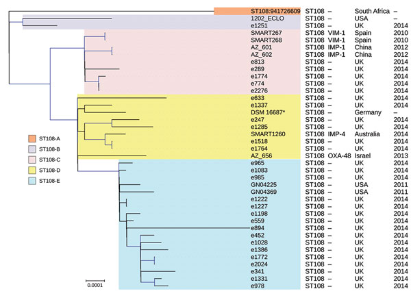 Phylogenetic tree of the different clades among 39 Enterobacter hormaechei subsp. oharae ST108 isolates identified from Enterobacter spp. isolates collected in the Merck Study for Monitoring Antimicrobial Resistance Trends, 2008–2014, and the AstraZeneca global surveillance program, 2012–2014. The tree was rooted with E. hormaechei subsp. hormaechei isolate ATCC49162. A total of 317,867 core single-nucleotide polymorphisms were found; 27,705 were used to draw the tree (after phages and recombina