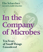 Thumbnail of In the Company of Microbes: Ten Years of Small Things Considered