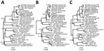 Thumbnail of Phylogenetic analyses of severe fever with thrombocytopenia syndrome virus (SFTSV) isolates from 2 cheetahs, Japan, 2017. The phylogenetic trees constructed based on large (A), medium (B), and smal (C) segment RNA nucleotide sequences of isolates SkrP/2017 from cheetah 1 and ArtSp/2017 from cheetah 2 (underlined) with representative SFTSV isolates. Isolates from human cases reported in the same prefecture as the zoo are indicated with black dots. The trees were calculated using MrBa
