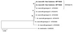 Thumbnail of Phylogenetic analysis of Anopheles mosquito species introduced in New Caledonia.