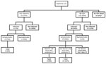 Thumbnail of Flowchart of healthcare workers exposed to patients infected with Crimean-Congo hemorrhagic fever virus who did and did not receive PEP with ribavirin or early ribavirin treatment &lt;48 hours after symptom onset, 1976–2017. *Healthcare workers for which PEP information was not included in the original report. PEP, postexposure prophylaxis.