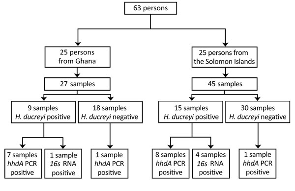 Flowchart of whole-genome sequencing of Haemophilus ducreyi. Samples were originally collected in 2 studies conducted in Ghana (2014) and the Solomon Islands (2013) (2,4). Results of the H. ducreyi PCR conducted in the original studies and of the 2 H. ducreyi PCRs performed in this study are shown.