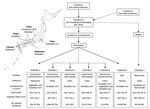 Thumbnail of Overview of foodborne norovirus outbreaks associated with dried shredded nori during the 2016–17 endemic season, Japan. Production and distribution of dried, shredded nori merchandize and the 7 norovirus outbreaks are outlined. Solid and dashed lines indicate the production and distribution of 2 distinct lots. The asterisk indicates detection of norovirus in food, shredded nori, or both. Inset map shows geographic locations of outbreaks and manufacturers.
