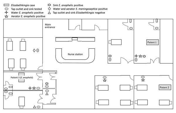 Spatial distribution of Elizabethkingia isolates by location (patients, tap water, aerators, and sinks) in children's intensive care unit, KK Women’s and Children’s Hospital, Singapore, May 2017.