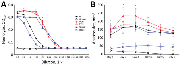 Virulence phenotype of MRSA ST398 isolates. A) Hemolysis analysis. The hemolytic activity of culture filtrates grown for 24 h was measured in triplicate at given dilutions. The mean and SE are shown. The statistical analysis used a 2-way analysis of variance between multiple groups. FY20 and FY22 were significantly stronger than other strains in dilution 1:4, 1:8, 1:16, and 1:32 (p&lt;0.05). B) Abscess sizes in the mouse skin infection model. There were 4 mice per strain, and the mean and SE are