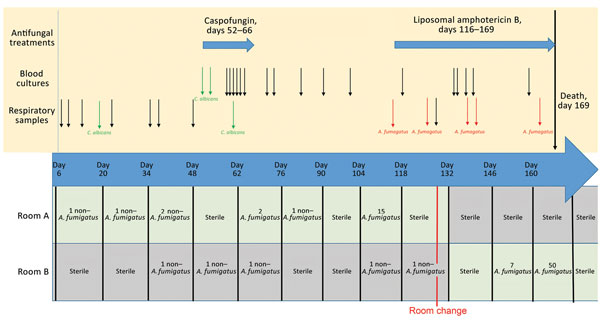 Timeline summarizing the antifungal treatments, patient blood and respiratory sample mycology culture results, and filamentous fungi culture results of the electrostatic dustfall collectors used for continuous monitoring of airborne fungal contamination in the intensive care unit rooms where Aspergillus fumigatus was found during hospital stay of colonized patient, France, 2015. C. albicans, Candida albicans.