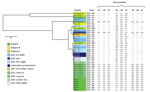 Thumbnail of Multilocus variable-number tandem-repeat analysis genotyping results for Aspergillus fumigatus found during hospital stay of colonized patient, France, 2015. The distance tree was plotted by using iTOL version 4.2 (https://itol.embl.de/), taking into account the 3 microsatellite markers that were obtained from each A. fumigatus isolate sampled from the various study sites. The length-polymorphisms of 9 microsatellite markers were obtained for the 14 isolates sampled at the ICU durin