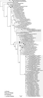 Thumbnail of Maximum-likelihood phylogenetic tree of hemagglutinin genomic segment of H3N2 canine influenza viruses (CIVs). The phylogeny of 97 H3N2 CIVs available in public databases and the 8 hemagglutinin genomic segments sequenced in this study were inferred by using MEGA version 6 (https://www.megasoftware.net/) under the general time-reversible plus gamma distribution model with 1,000 bootstrap replicates. Avian isolates of ancestral strain (triangle) and canine isolates from South Korea (