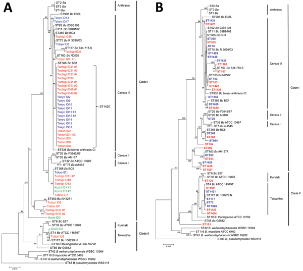 Multilocus sequence typing (MLST)–based phylogenetic trees of strains and STs of Bacillus cereus isolates, Japan. Reference sequences were obtained from the MLST database (https://pubmlst.org). Definitions of clades and lineage names followed those of Priest et al. (9). A) Phylogenetic tree of isolates from patients with bacteremia. Blue indicates Tokyo strains, red indicates Tochigi stains, orange indicates Tottori strains, and green indicates Kochi strains. B) Phylogenetic tree of STs detected