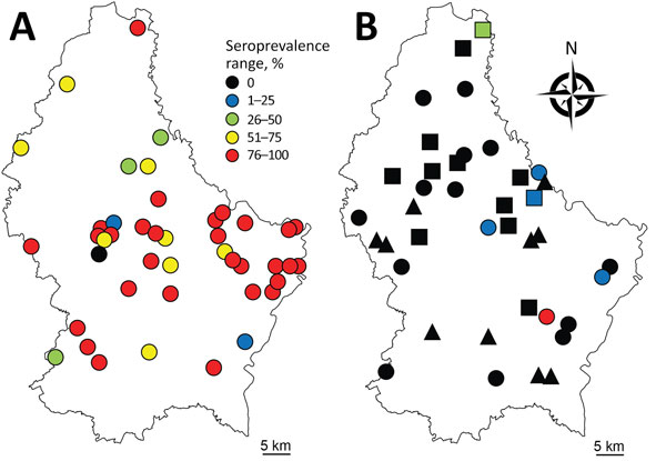 Within-farm seroprevalence range in A) cattle herds (n = 44) sampled in 2016 and B) swine herds sampled in 2012 (n = 10, triangles), 2014–2015 (n = 12, squares) or both (n = 17, circles). 