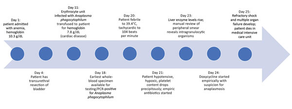 Timeline of patient’s hospitalization for anemia followed by Anaplasma phagocytophilum infection, New York, New York, USA.