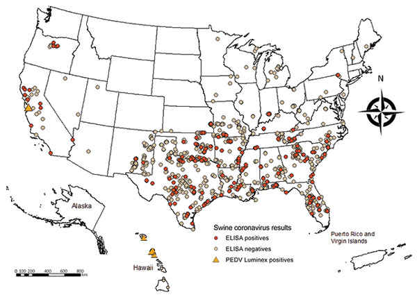 Collection locations of feral swine samples tested for exposure to swine coronaviruses, United States. In California, 4 PEDV-positive samples were detected at the same location. Samples that were ELISA-positive, but PEDV-negative probably indicate exposure to transmissible gastroenteritis virus.