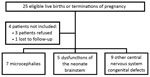 Thumbnail of Flowchart for the recruitment of eligible cases for study of Zika virus infection during pregnancy and effects on early childhood development, French Polynesia, 2013–2016.