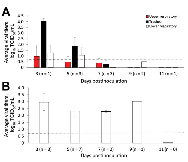 Influenza D viral titers in feral swine tissues. Feral swine were inoculated intranasally with 106 TCID50 of influenza D/bovine/C00046N/Mississippi/2014 virus or sterile phosphate-buffered saline (controls). At 3, 5, 7, 9, and 11 days postinoculation, they were humanely euthanized, and the following tissues were collected: turbinate; soft palate; upper, middle, and lower trachea; bronchus; left and right caudal lung; left and right medial lung; left and right cranial lung; and right accessory lu