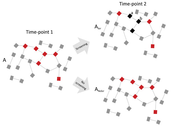 Diagram showing how high network connectivity combined with excess antimicrobial drug exposure from Neisseria gonorrhoeae preexposure prophylaxis could produce antimicrobial resistance (AMR). A dense sexual network translates into a high equilibrium prevalence of N. gonorrhoeae (red squares) at time-point 1. Active N. gonorrhoeae screening of 50% of this population every 3 months results in 50% lower N. gonorrhoeae prevalence at time-point 2 (3 months later) but at the expense of an altered resi